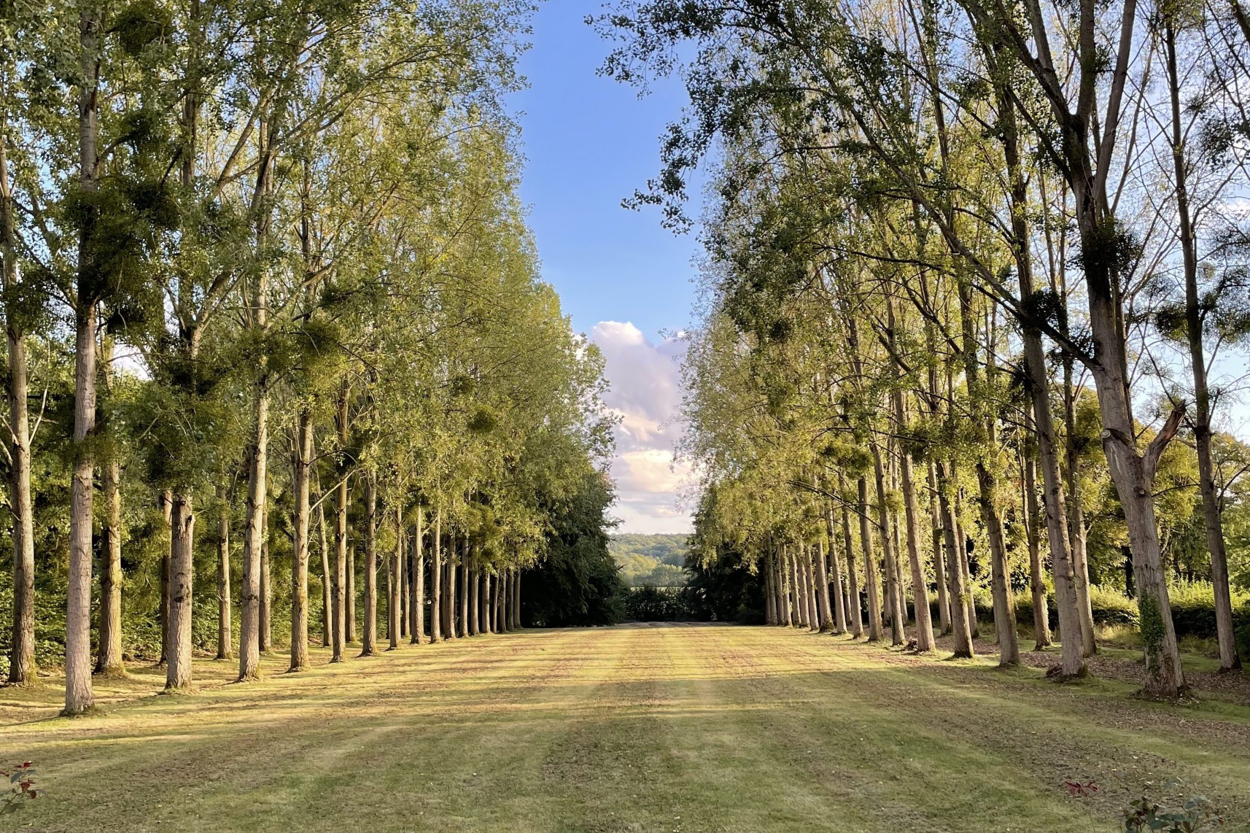 Le Parc